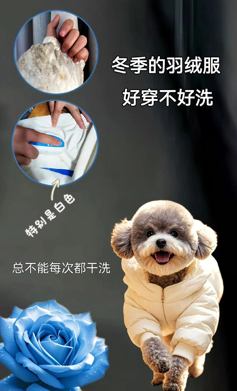 羽絨服四季如新，這款干洗劑讓我徹底扔掉干洗店